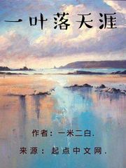 一叶落天涯封面
