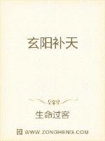 玄阳补天封面
