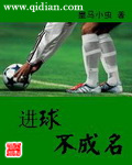 进球不成名封面