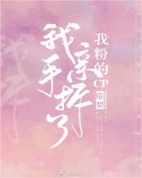 我亲手拆了我粉的cp封面