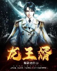 龙王婿封面