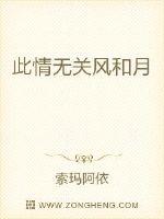 此情无关风和月封面