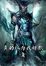 真以为我好欺负封面