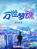万世梦魂封面