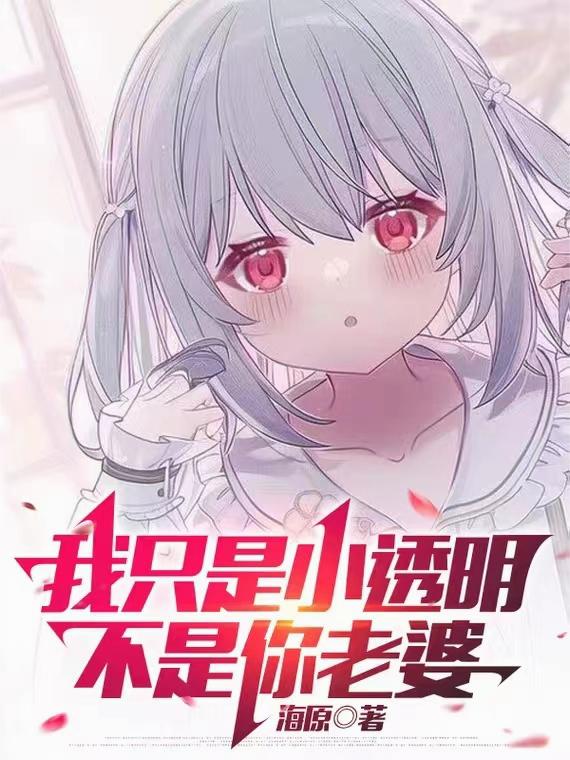 我只是小透明,不是你老婆封面