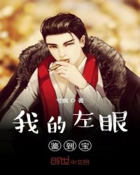 我的左眼鉴到宝封面