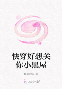 快穿好想关你小黑屋封面