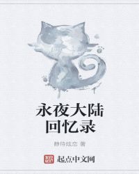 永夜大陆回忆录封面