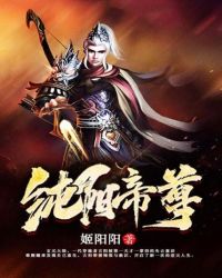 纯阳帝尊封面