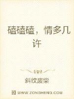 磕磕磕，情多几许封面