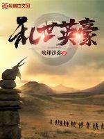 乱世英豪封面