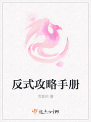 反式攻略手册封面