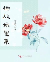 他从坑里来封面