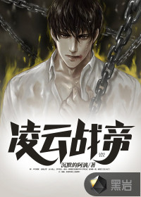 凌云战帝封面