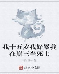 我十五岁我好累我在崩三当死士封面
