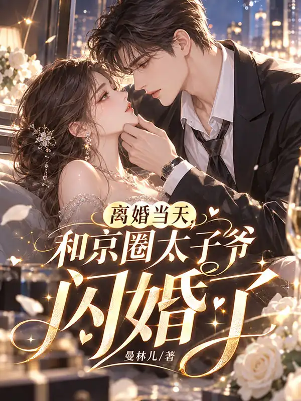 离婚当天,和京圈太子爷闪婚了封面