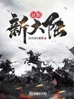 征服新大陆封面