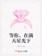 等你,在满天星光下封面