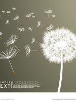 这个魔头不正经封面