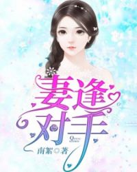 妻逢对手封面