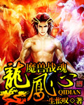 魔兽战魂龙凤心封面