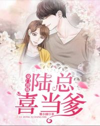 豪门替嫁：陆总喜当爹封面