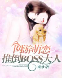 网游萌恋：推倒BOSS大人封面