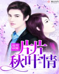 片片秋叶情封面