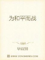 为和平而战封面