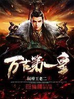 万古第一皇封面