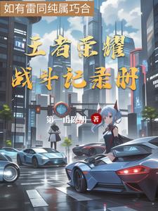 王者荣耀战斗记录册封面