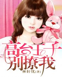 高台王子别撩我封面