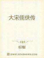大宋儒侠传封面