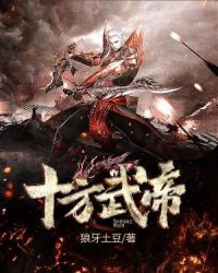 十方武帝封面