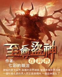 至尊盗神在异界封面