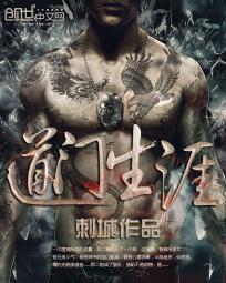 我的道门生涯封面