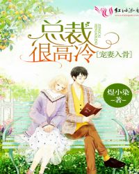 宠妻入骨总裁很高冷封面