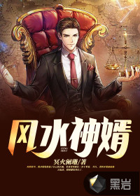 风水神婿封面