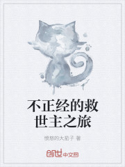 不正经的救世主之旅封面