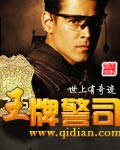王牌警司封面
