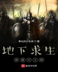 地下求生：普雷尔之眼封面