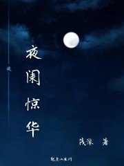 夜阑惊华封面