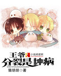 王爷，分裂是种病封面