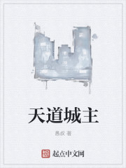 天道城主封面