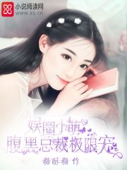 娱圈小萌,腹黑总裁极限宠封面