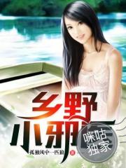 乡野小邪医封面