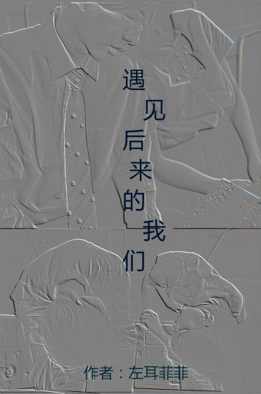 遇见,后来的我们封面