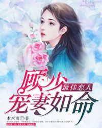 顾少宠妻如命封面