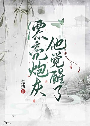 漂亮炮灰他觉醒了封面