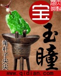 宝玉瞳封面